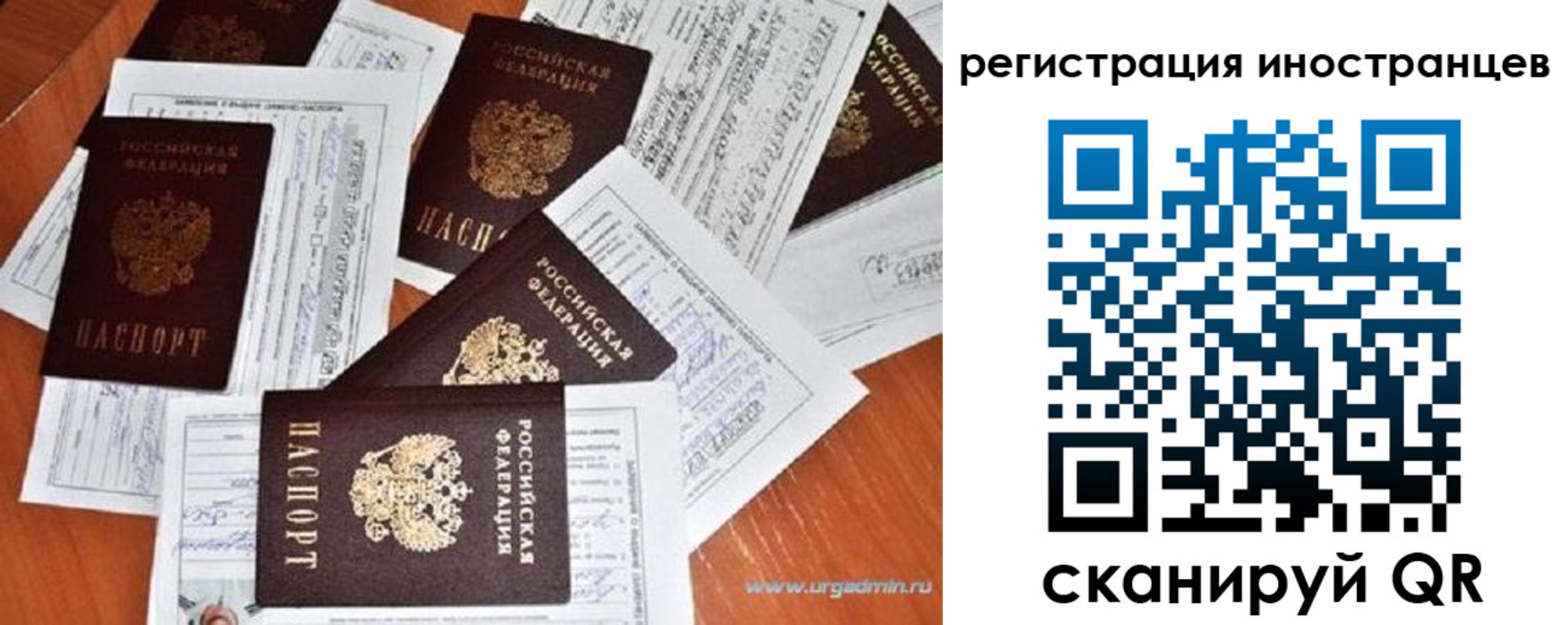 временная регистрация гарантия в Жердевке